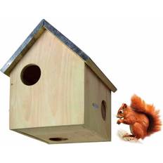 Animaux de compagnie Squirrel House WA10