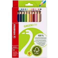 Grün Buntstifte Stabilo Colored Pencils 12-Pack