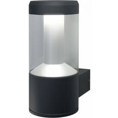 Red Wall Lights LEDVANCE Smart Wall light ∅ 11cm