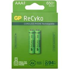 Gp recyko aaa GP Batteries ReCyko AAA Battery 650mAh 2-Pack