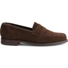 Harvard II - Dark Brown Suede