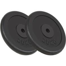 vidaXL Weight Plates 2X20Kg Cast Iron