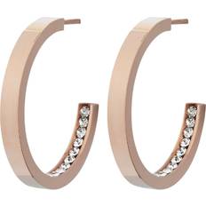 Edblad örhänge monaco Edblad Monaco Small Earrings - Rose Gold/Transparent