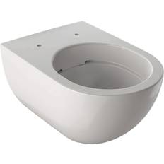 Geberit Toiletter & WC Geberit Acanto (500.600.01.8)