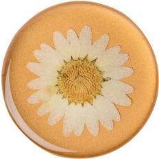 Matkapuhelimen Telineet Popsockets PopGrip Pressed Flower White Daisy