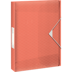 Esselte Skrivbordsförvaring & Brevkorgar Esselte Colour'Ice Box File PP