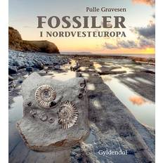 Fossiler Fossiler i Nordvesteuropa (Inbunden, 2018)