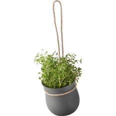Örtkruka självvattnande RIG-TIG Grow-It Flower Pot ∅13cm