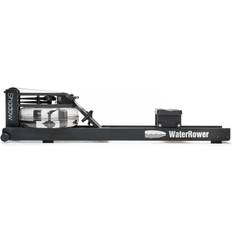 Shadow Rowing Machine