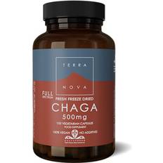 Chagapulver Kosttilskud Terranova Chaga 500mg 50 stk