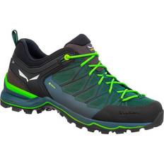 Mountain Trainer Lite GTX M - Myrtle/Ombre Blue