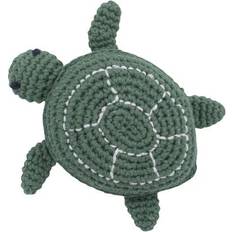 Sebra Triton the Turtle