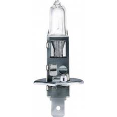 LEDVANCE Original Line H1 Halogen Lamps 70W P14.5s