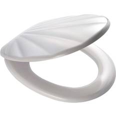 Ridder Shell (433681)