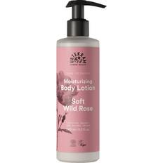 Dare to Dream Soft Wild Rose Body Lotion