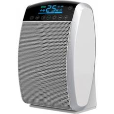 HL 300