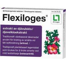 Flexiloges 480mg 60pcs Tablet