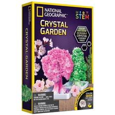 National Geographic Crystal Garden