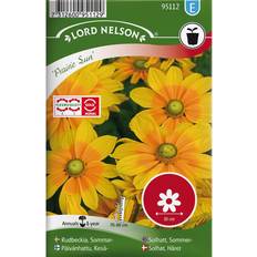 Krukker, Planter & Dyrkning Nelson Garden Prairie Sun 15 pack Blomsterfrø