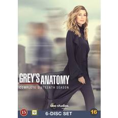 Greys anatomy dvd film Grey's Anatomy - Season 16