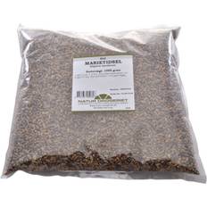 Milk Thistle