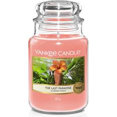 Yankee Candle Doftljus på rea Yankee Candle The Last Paradise Doftljus 623g