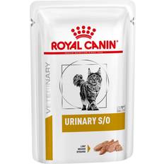 Royal canin urinary s o katt Royal Canin Feline Urinary S/O in Loaf