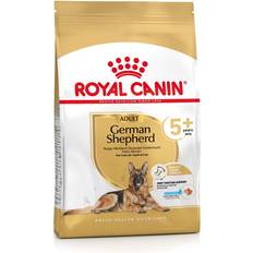 Royal canin german shepherd adult Royal Canin German Shepherd Adult 5+ Dry Dog Food 12kg