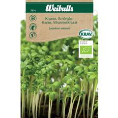 Weibulls Organic Cress Sandwich Krydderurtefrø