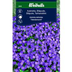 Blåpude Weibulls Aubrietia Blomsterfrø