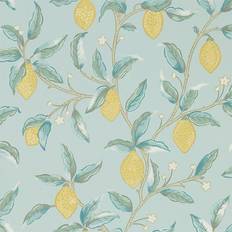 Lemon Tree (216674)