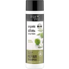 Moroccan Princess Damage Repair Shampoo