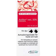 Avmaskning katt - Katter Husdjur Intervet Axilur Vet Oral Suspension 10%