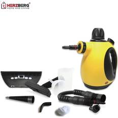 Home Steam cleaner