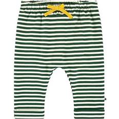 Molo Sigurd - Green Stripe (3S21I207 2146)