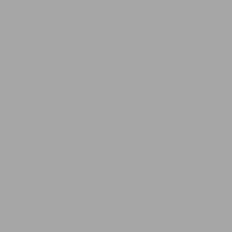 Background Cloth BCP-03 2.9x5m Grey