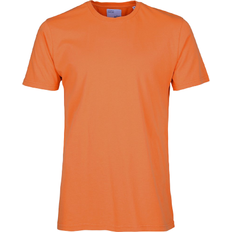 Colorful Standard Classic Organic T-Shirt - Burned Orange