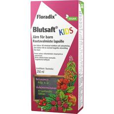 Floradix Blutsaft Kids 250ml