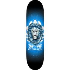 Salman Agah Lion Popsicle Deck 8"