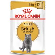 Royal canin british shorthair Royal Canin British Shorthair