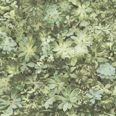 Evergreen (7320)