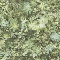 Verde Papeles pintados Gallery Evergreen Papel pintado Succulent verde y beige Noordwand Beige