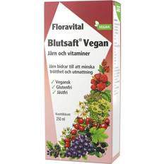 Blutsaft Floradix Blutsaft Vegan 250ml