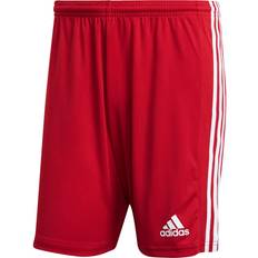 Adidas Man - Red Clothing Adidas Squadra 21 Shorts Men - Team Power Red/White