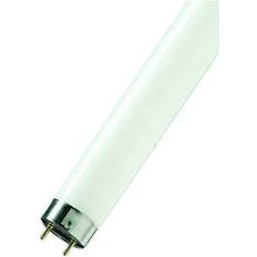 Lysstofrør 15w LEDVANCE Lumilux T8 Fluorescent Lamps 15W G13