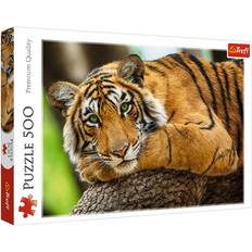 Tiger Portrait 500 Pieces