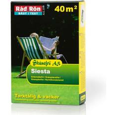 Gräsfrö siesta Skånefrö AB Siesta Grass Seed 1kg 40m²