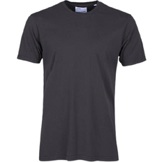 Colorful Standard Maglietta Organic - Gris