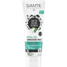 Sin flúor Pastas de dientes SANTE Naturkosmetik Mint 75 ml