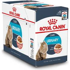 Royal canin urinary katt Royal Canin Urinary Care Gravy